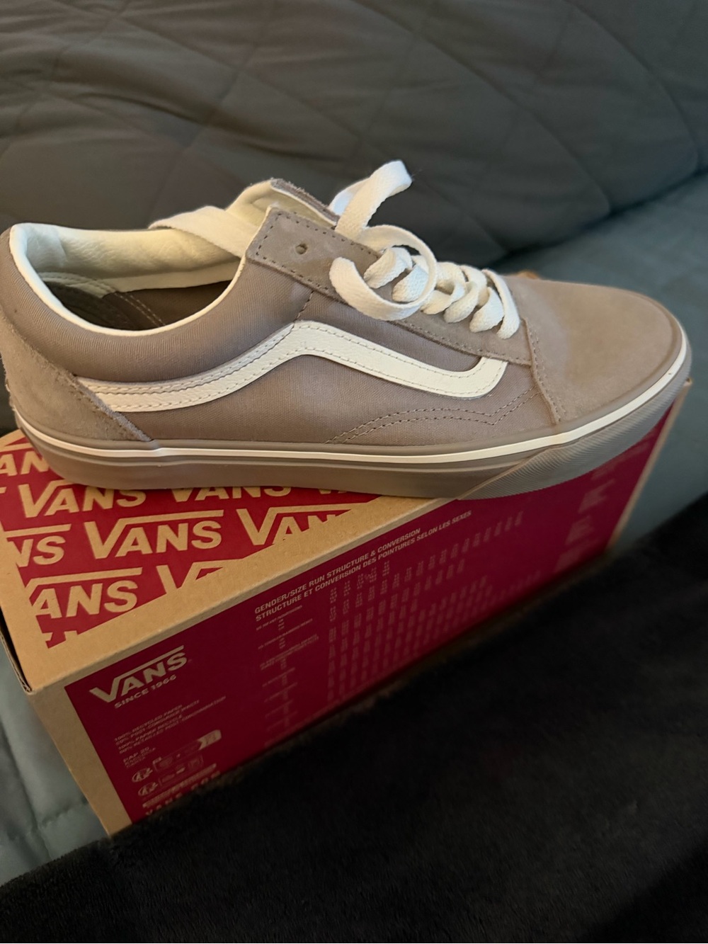 Vans Low-Top Skate Sneakers in Light Taupe and White